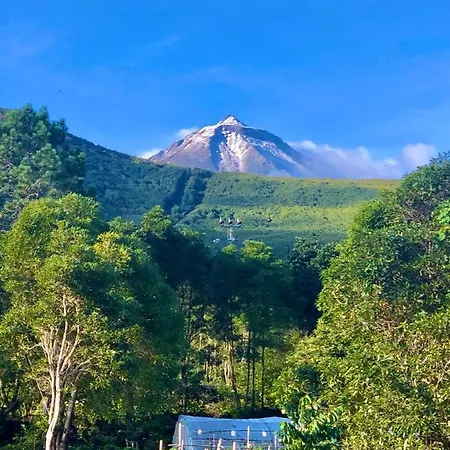 Quinta Pereirinha: Oceanview Farm Retreat Holiday home Sao Roque do Pico
