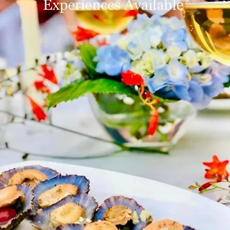 Feriehus Quinta Pereirinha - A Private 3 Bedroom Home, Close To Hiking Traile W Ocean Views - Pico Island, Azores