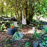 Ferienhaus Quinta Pereirinha - A Private 3 Bedroom Home, Close To Hiking Traile W Ocean Views - Pico Island, Azores São Roque do Pico