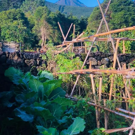 Quinta Pereirinha - A Private 3 Bedroom Home, Close To Hiking Traile W Ocean Views - Pico Island, Azores Sao Roque do Pico