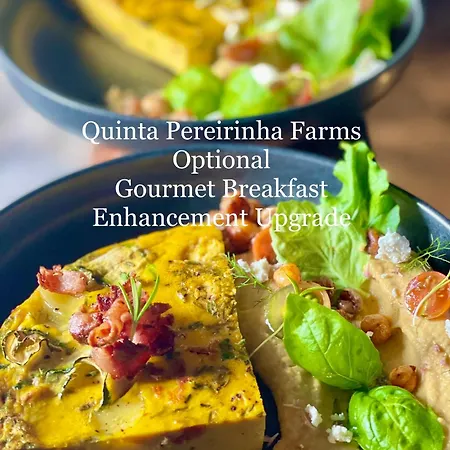 Casa de Férias Casa Pereirinha Farmstay, São Roque do Pico, Azores - Private 3 Bedroom with Ocean Views, Swimming 1km *